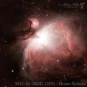 M42/43 (NGC 1976) Orion Nebula by Anthony Miller
